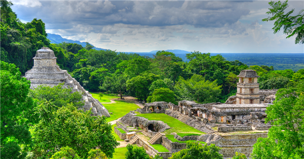 decouvrir Palenque pendant son circuit au mexique