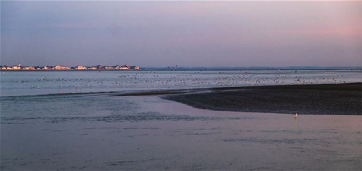 baie de somme