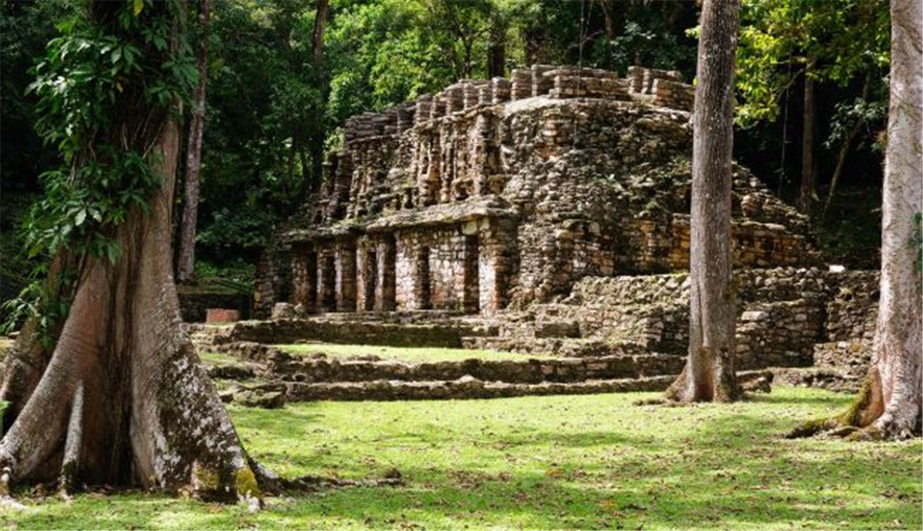 yaxchilan au Mexique