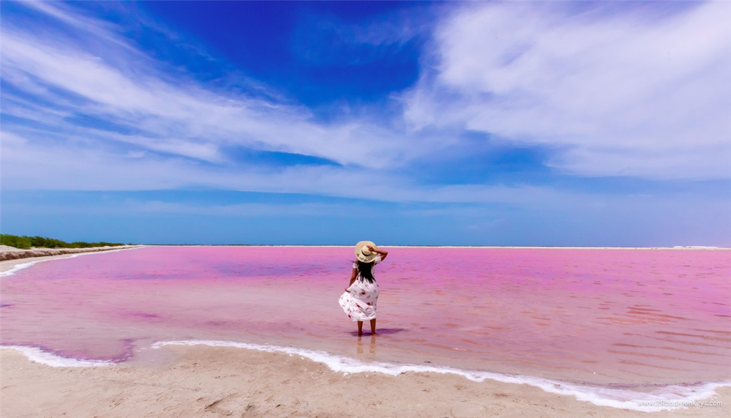 visiter Rio Lagartos et Las Coloradas