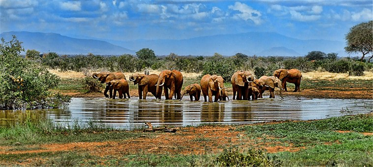 les paysages magnifiques en afrique du sud