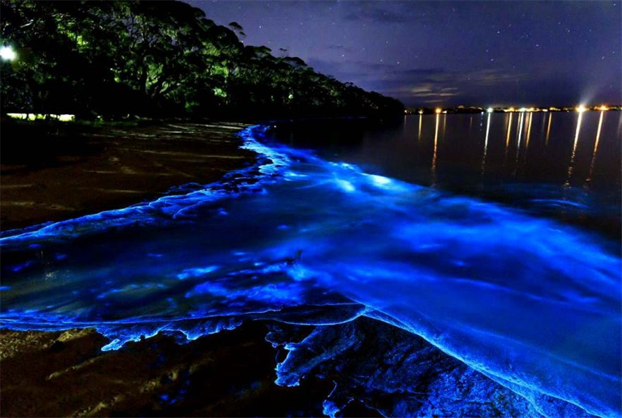 vague de couleur bleu fluo sur une plage au Mexique