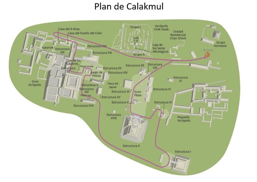 découvrir calakmul au mexique