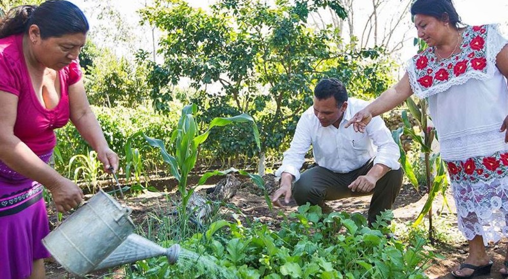 visiter la communauté de nuevo durango au yucatan