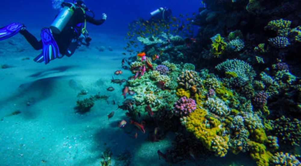 decouvrir les fonds marins au mexique