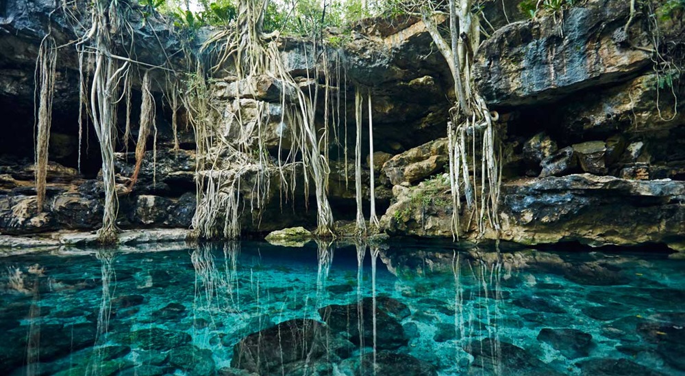 nager en cenote en circuit au Yucatan