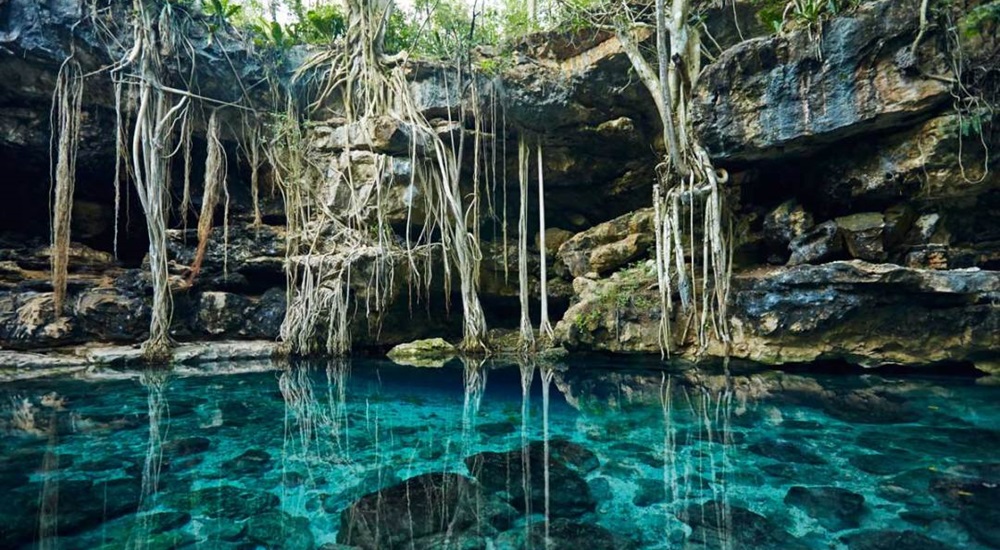 baignade en cenote pendant une lune de miel au Mexique