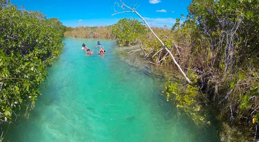 nager a sian kaan dans le yucatan