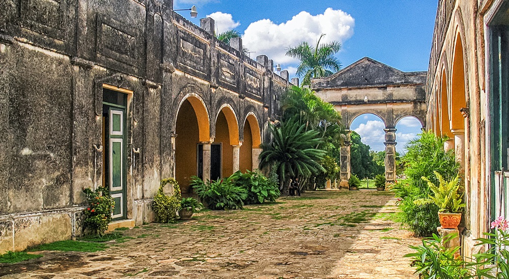 apprendre la culture du sisal pendant un voyage au Yucatan