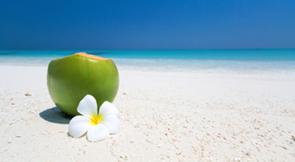 noix de coco sur la plage