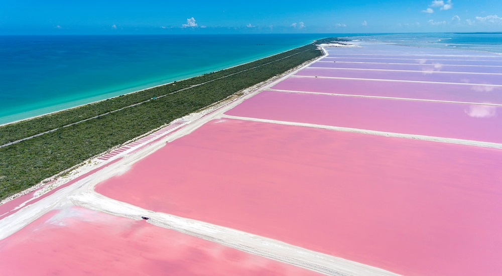 lacs roses des marais salants de rio lagartos