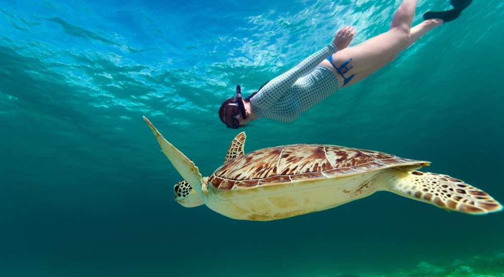 nager avec les tortues au Mexique