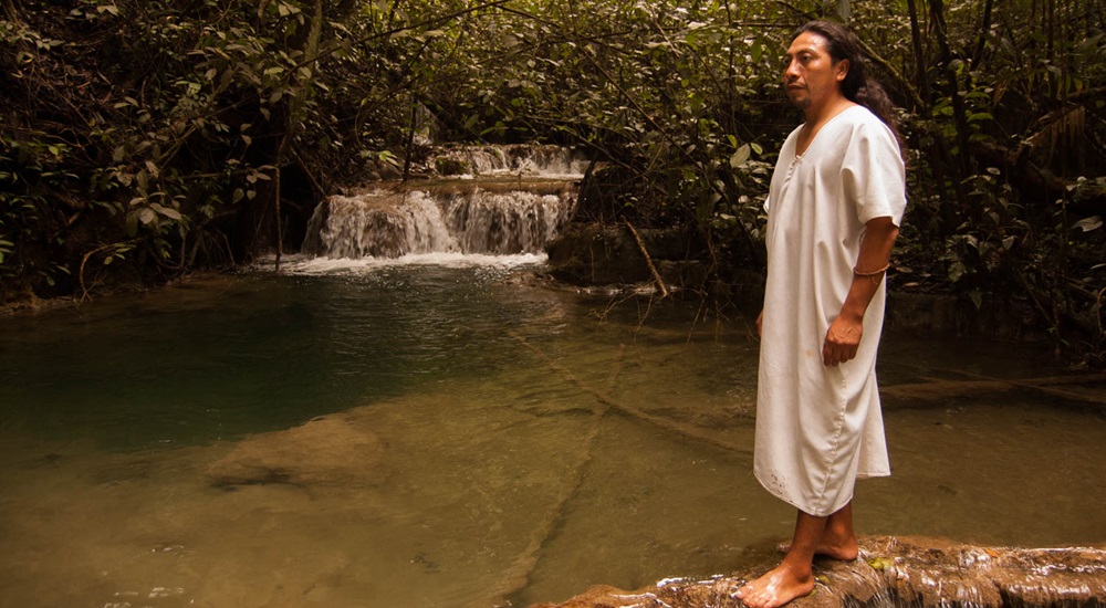 balade en jungle avec un maya lacandon