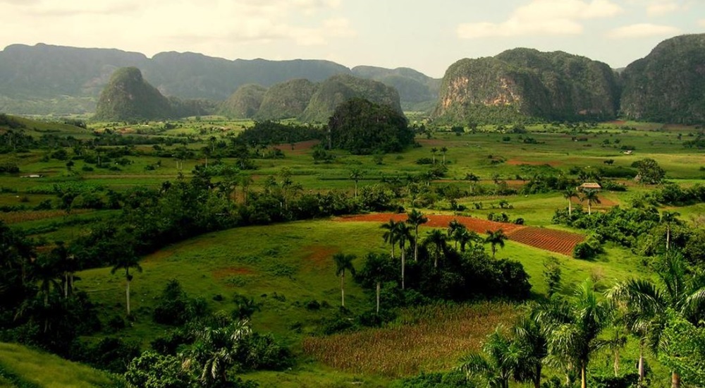 vinales et ses paysages luxuriants