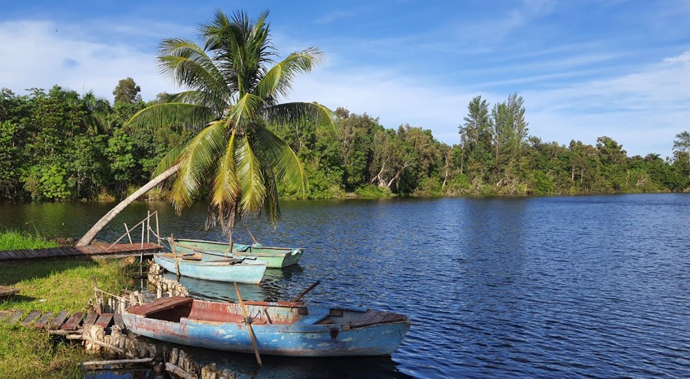 boca de guama pendant un circuit a cuba