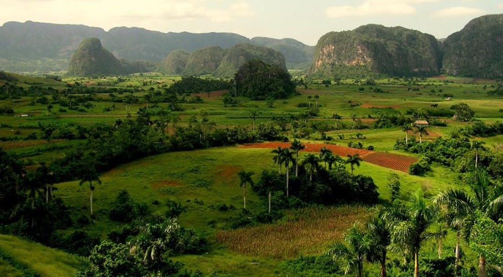 paysages luxuriants de vinales a cuba