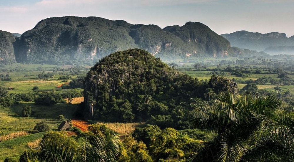 départ de vinales