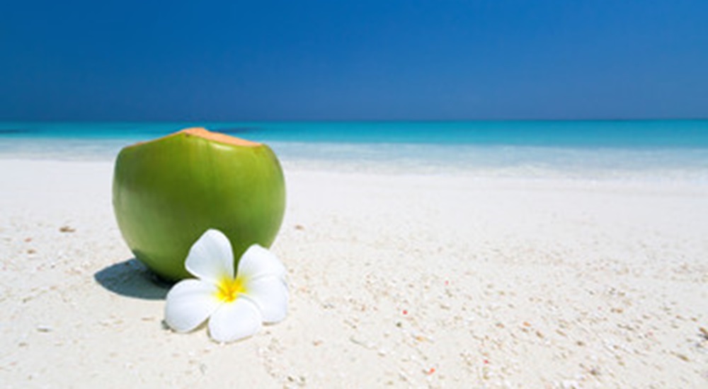 noix de coco sur la plage a varadero