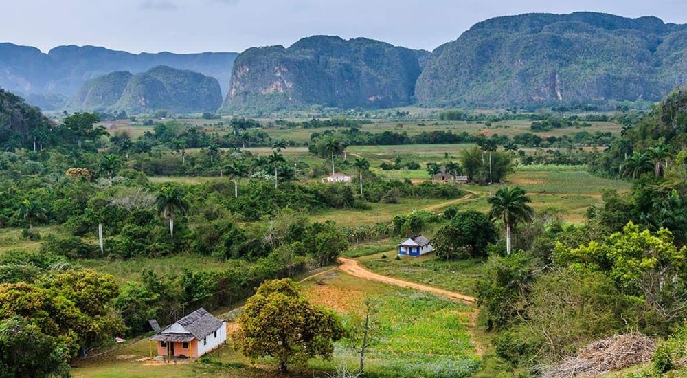 vinales et ses paysages luxuriants