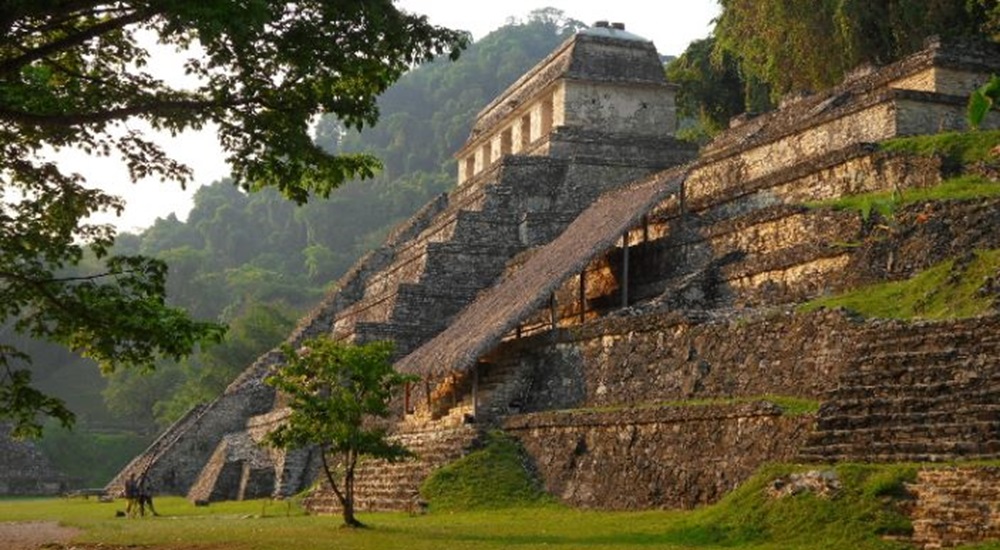 visiter palenque au Mexique