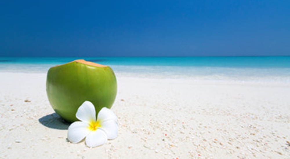 noix de coco sur la plage au Mexique